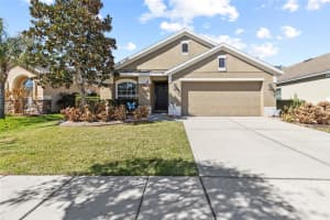 6641 BOULDER RUN LOOP, WESLEY CHAPEL, FL 33545 - MLS#MFRTB8481140