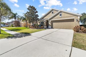 6641 BOULDER RUN LOOP, WESLEY CHAPEL, FL 33545 - MLS#MFRTB8481140