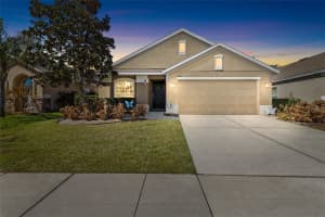 6641 BOULDER RUN LOOP, WESLEY CHAPEL, FL 33545 - MLS#MFRTB8481140