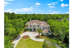 6413 MACLAURIN DRIVE, TAMPA, FL 33647 - MLS#MFRTB8481237