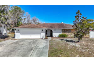 11020 PEPPERTREE LANE, PORT RICHEY, FL 34668 - MLS#MFRTB8481249