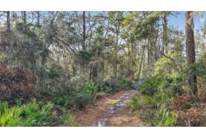 POWELL RD, BROOKSVILLE, FL 34602 - MLS#MFRTB8481260