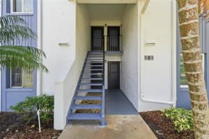 240 CYPRESS LANE, OLDSMAR, FL 34677 - MLS#MFRTB8481270