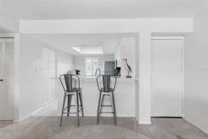 240 CYPRESS LANE, OLDSMAR, FL 34677 - MLS#MFRTB8481270