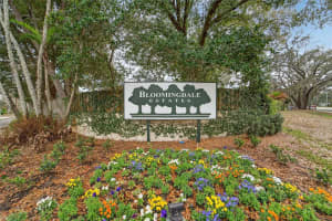 206 BAYFIELD DRIVE, BRANDON, FL 33511 - MLS#MFRTB8481284