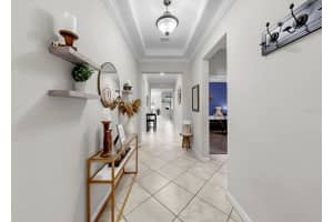 12203 BALLENTRAE FOREST DRIVE, RIVERVIEW, FL 33579 - MLS#MFRTB8481286