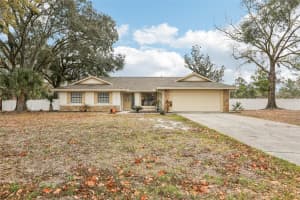 4504 DEER PARK PLACE, BRANDON, FL 33511 - MLS#MFRTB8481292