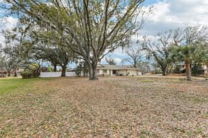 4504 DEER PARK PLACE, BRANDON, FL 33511 - MLS#MFRTB8481292