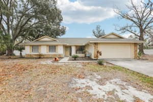 4504 DEER PARK PLACE, BRANDON, FL 33511 - MLS#MFRTB8481292