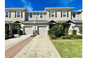 1073 AMBER LEAF TRAIL, WESLEY CHAPEL, FL 33544 - MLS#MFRTB8481296