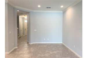 1073 AMBER LEAF TRAIL, WESLEY CHAPEL, FL 33544 - MLS#MFRTB8481296