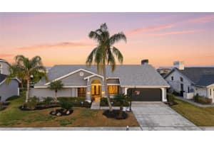 4157 Saltwater Blvd, TAMPA 4157 Saltwater Blvd, TAMPA