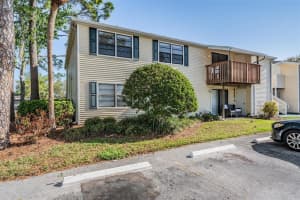 124 LOBLOLLY COURT, OLDSMAR, FL 34677 - MLS#MFRTB8481313