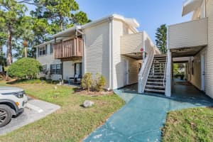 124 LOBLOLLY COURT, OLDSMAR, FL 34677 - MLS#MFRTB8481313
