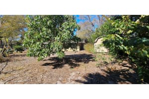 1516 ADELE PLACE, LARGO, FL 33770 - MLS#MFRTB8481329