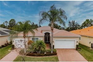 5008 RUBY FLATS DRIVE, WIMAUMA, FL 33598 - MLS#MFRTB8481356