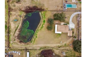 2921 LAMPP ROAD, PLANT CITY, FL 33565 - MLS#MFRTB8481366