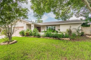 2656 COLONY DRIVE, DUNEDIN, FL 34698 - MLS#MFRTB8481379