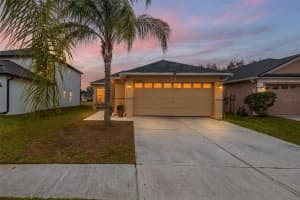 31228 Masena Dr, WESLEY CHAPEL