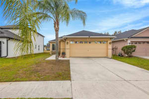 31228 MASENA DRIVE, WESLEY CHAPEL, FL 33545 - MLS#MFRTB8481382