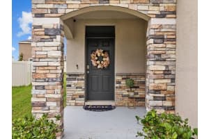 17006 Wave Tressle Pl, WIMAUMA