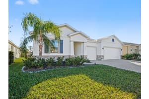 13031 WILLOW GROVE DRIVE, RIVERVIEW, FL 33579 - MLS#MFRTB8481394