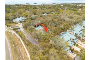 1484 BUCKEYE LANE, PALM HARBOR, FL 34683 - MLS#MFRTB8481412