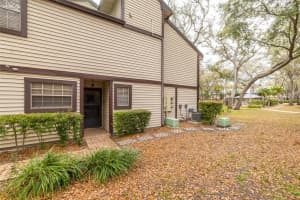1484 BUCKEYE LANE, PALM HARBOR, FL 34683 - MLS#MFRTB8481412