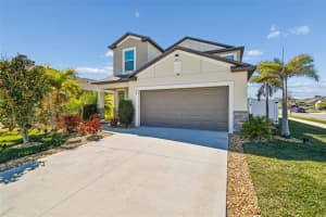 984 OLIVE CONCH STREET, RUSKIN, FL 33570 - MLS#MFRTB8481422