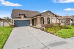 8296 Olive Brook Dr, WESLEY CHAPEL