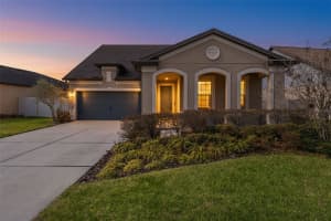 8296 OLIVE BROOK DRIVE, WESLEY CHAPEL, FL 33545 - MLS#MFRTB8481437