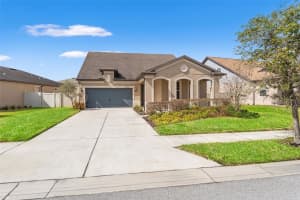 8296 OLIVE BROOK DRIVE, WESLEY CHAPEL, FL 33545 - MLS#MFRTB8481437