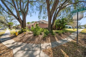 3040 WINDRIDGE OAKS DRIVE, PALM HARBOR, FL 34684 - MLS#MFRTB8481467