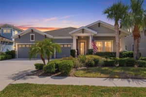 8130 WATER COLOR DRIVE, LAND O LAKES, FL 34638 - MLS#MFRTB8481474