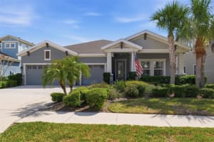8130 WATER COLOR DRIVE, LAND O LAKES, FL 34638 - MLS#MFRTB8481474