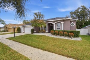 1007 SPLIT SILK STREET, VALRICO, FL 33594 - MLS#MFRTB8481483