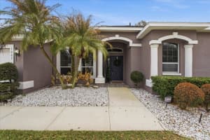 1007 SPLIT SILK STREET, VALRICO, FL 33594 - MLS#MFRTB8481483