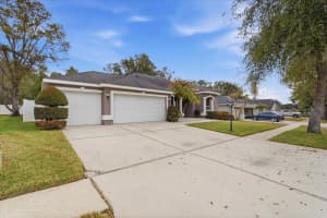 1007 SPLIT SILK STREET, VALRICO, FL 33594 - MLS#MFRTB8481483