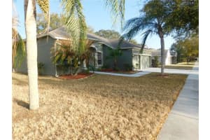 12902 CATTAIL SHORE LANE, RIVERVIEW, FL 33579 - MLS#MFRTB8481497