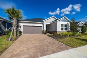 13699 CANNON DRIVE, ODESSA, FL 33556 - MLS#MFRTB8481502
