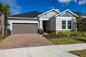 13699 CANNON DRIVE, ODESSA, FL 33556 - MLS#MFRTB8481502