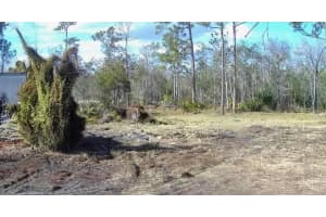 121 PERSIMMON TRAIL, LAKE PLACID, FL 33852 - MLS#MFRTB8481523