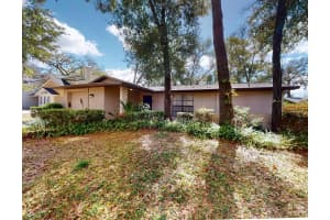 7113 Lauder Pl, TAMPA