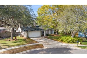 3625 PELICAN COURT, PALM HARBOR, FL 34683 - MLS#MFRTB8481551
