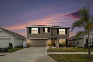 814 ACE OUTLAW AVENUE, RUSKIN, FL 33570 - MLS#MFRTB8481557