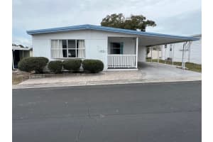 519 NEEDLE PALM STREET, LARGO, FL 33778 - MLS#MFRTB8481561