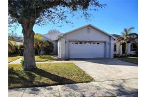 7156 Hamilton Park Blvd, TAMPA