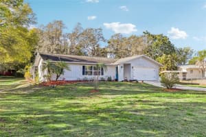 804 ROBIN AVENUE, PALM HARBOR, FL 34683 - MLS#MFRTB8481571