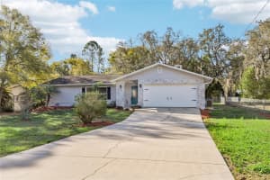 804 ROBIN AVENUE, PALM HARBOR, FL 34683 - MLS#MFRTB8481571