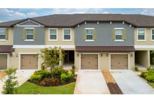 10989 WISHING CLOUD ROAD, LAND O LAKES, FL 34638 - MLS#MFRTB8481577